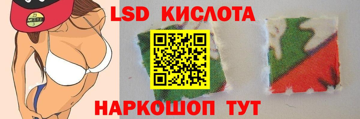 Новозыбков  ЛСД экстази ecstasy  Лсд 25 экстази ecstasy  Вход с VPN 