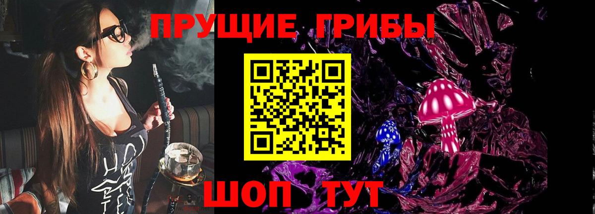 Новозыбков  Псилоцибиновые грибы прущие грибы  Вход с VPN 