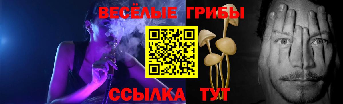 Новозыбков  Cocaine  Меф МЯУ МЯУ кристаллы  ГАШИШ  Вход с VPN  НБОМе  Бошки Шишки  КЕТАМИН 