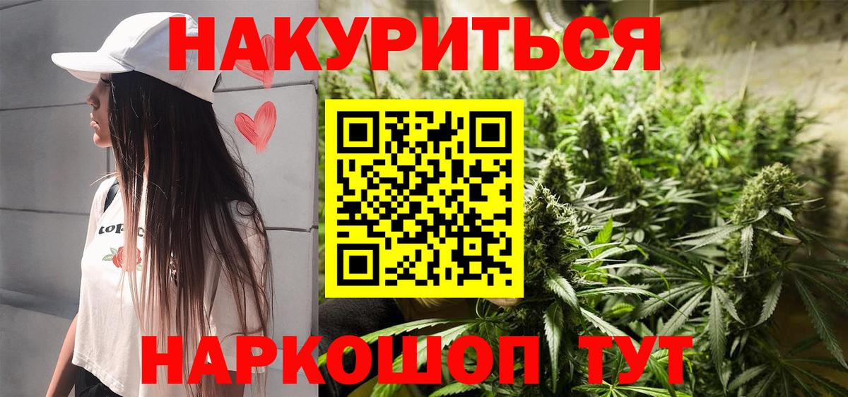 Шишки марихуана семена Новозыбков